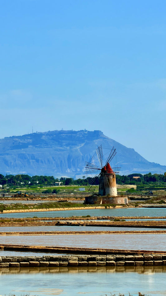 Where the Sea Becomes Salt Sicilian Sea Salt